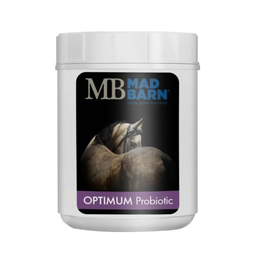 Mad Barn Optimum Probiotic 1 kg - 20 Billion CFUs - Horse Supplement - Mad Barn Equine | Mad Barn USA Mad Barn Optimum Probiotic 1 kg - 20 Billion CFUs - Horse Supplement - Mad Barn Equine