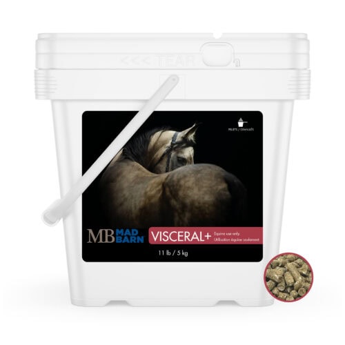 Visceral+ Gut Health Supplement for Horses - 5 kg - Gastric & Hindgut Support - Mad Barn | Mad Barn USA Visceral+ Gut Health Supplement for Horses - 5 kg - Gastric & Hindgut Support - Mad Barn