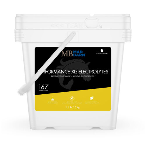 Performance XL Electrolytes - 5 kg - Electrolyte Supplement for Horses - Mad Barn | Mad Barn USA Performance XL Electrolytes - 5 kg - Electrolyte Supplement for Horses - Mad Barn