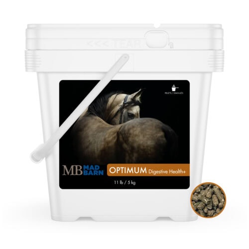Optimum Digestive Health Pellets for Horses - 5 kg - Equine Probiotic & Prebiotic Supplement - Mad Barn | Mad Barn USA Optimum Digestive Health Pellets for Horses - 5 kg - Equine Probiotic & Prebiotic Supplement - Mad Barn