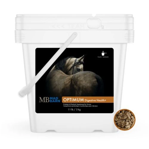 Optimum Digestive Health Pellets for Horses - 5 kg - Equine Probiotic & Prebiotic Supplement - Mad Barn | Mad Barn USA Optimum Digestive Health Pellets for Horses - 5 kg - Equine Probiotic & Prebiotic Supplement - Mad Barn
