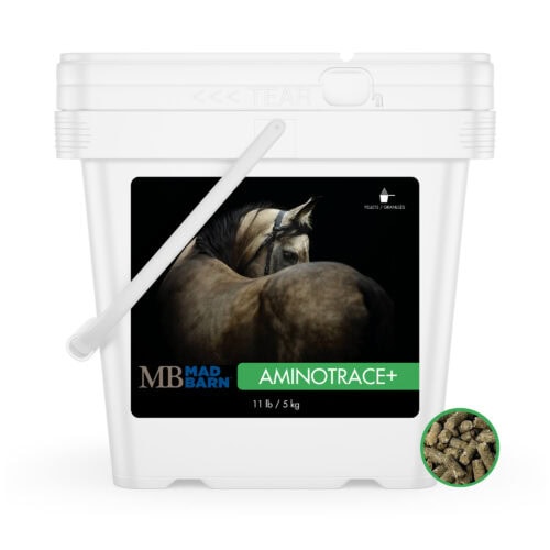 AminoTrace+ 5 kg - Vitamin & Mineral Supplement for Metabolic Horses - Pelleted - Mad Barn Equine | Mad Barn USA AminoTrace+ 5 kg - Vitamin & Mineral Supplement for Metabolic Horses - Pelleted - Mad Barn Equine