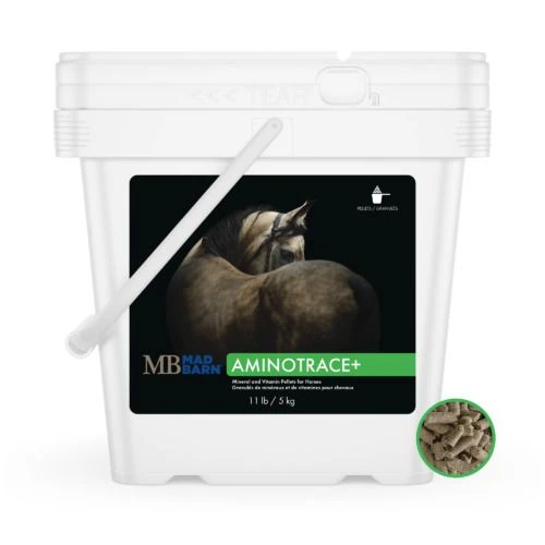 AminoTrace+ 5 kg - Vitamin & Mineral Supplement for Metabolic Horses - Pelleted - Mad Barn Equine | Mad Barn USA AminoTrace+ 5 kg - Vitamin & Mineral Supplement for Metabolic Horses - Pelleted - Mad Barn Equine