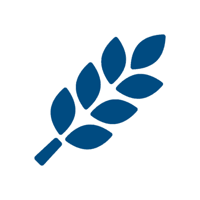 Equine Supplements Blog | Mad Barn USA Horse Forage Grains