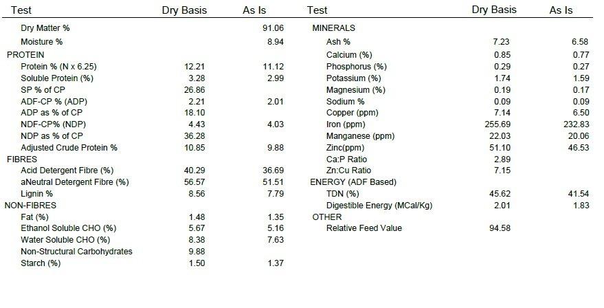 Sample Forage Analysis Report for Horses