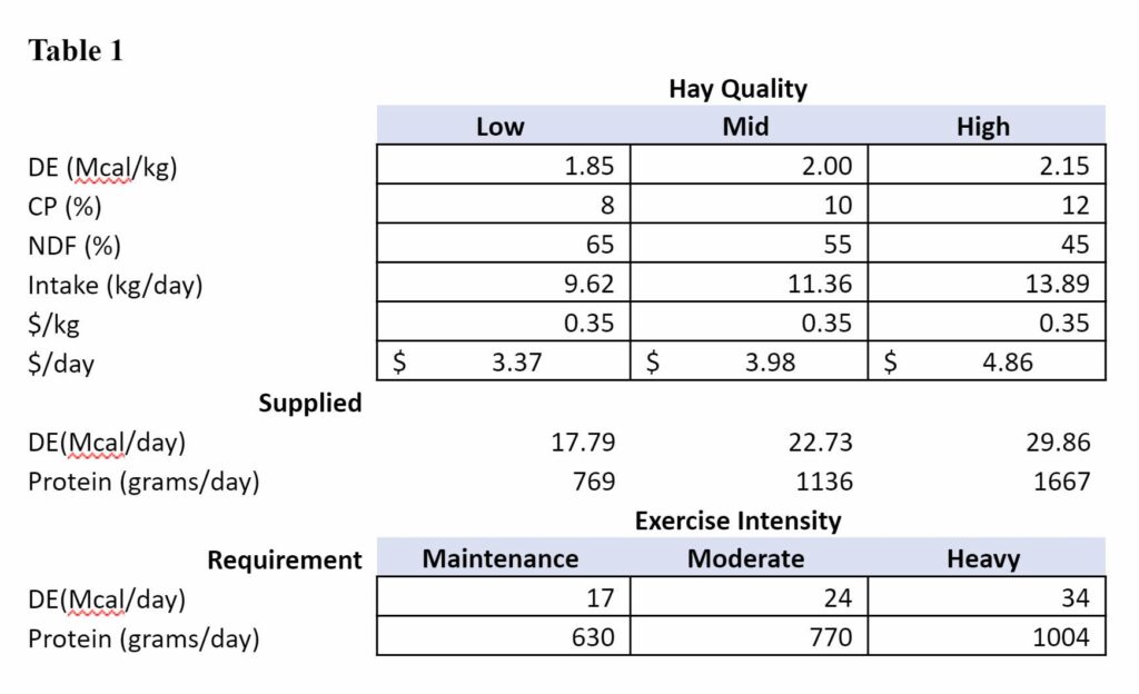 How to Feed a Horse on a Budget