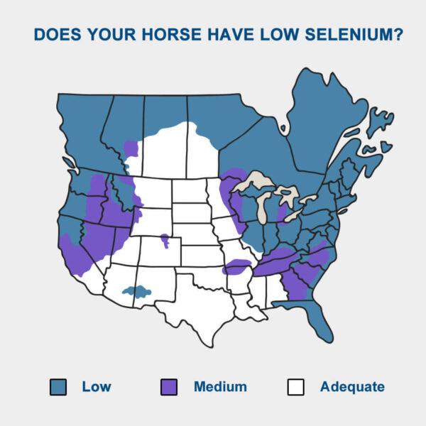 Selenium Map of Canada & the USA