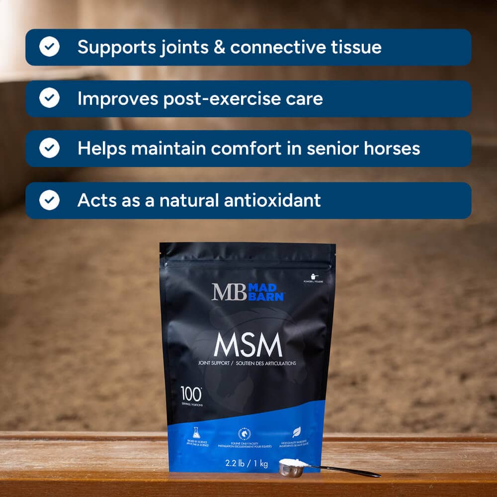 MSM Powder for Horses - Joint Supplement - Mad Barn Equine | Mad Barn USA MSM Powder for Horses - Joint Supplement - Mad Barn Equine