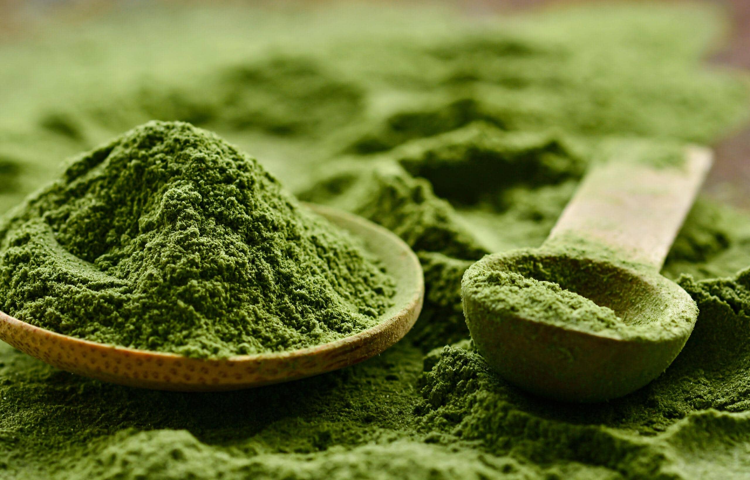 Spirulina Powder for Horses