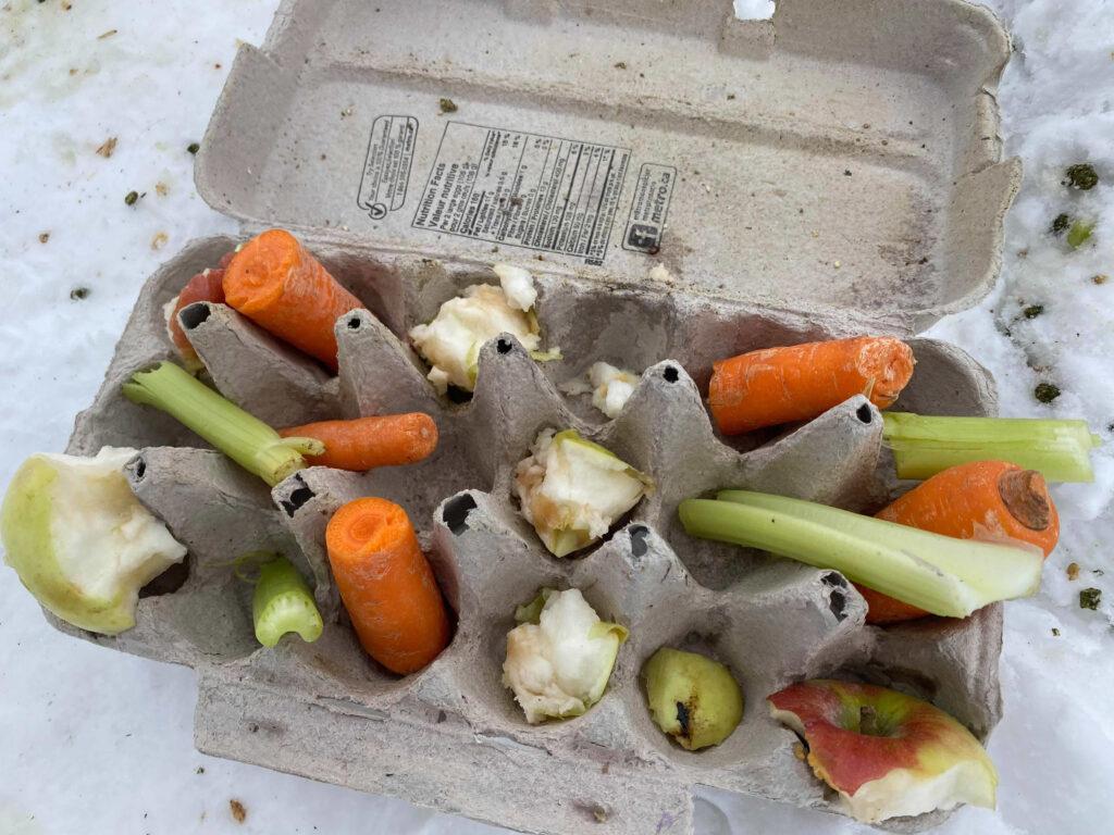 Equine Enrichment Activities - Egg Carton