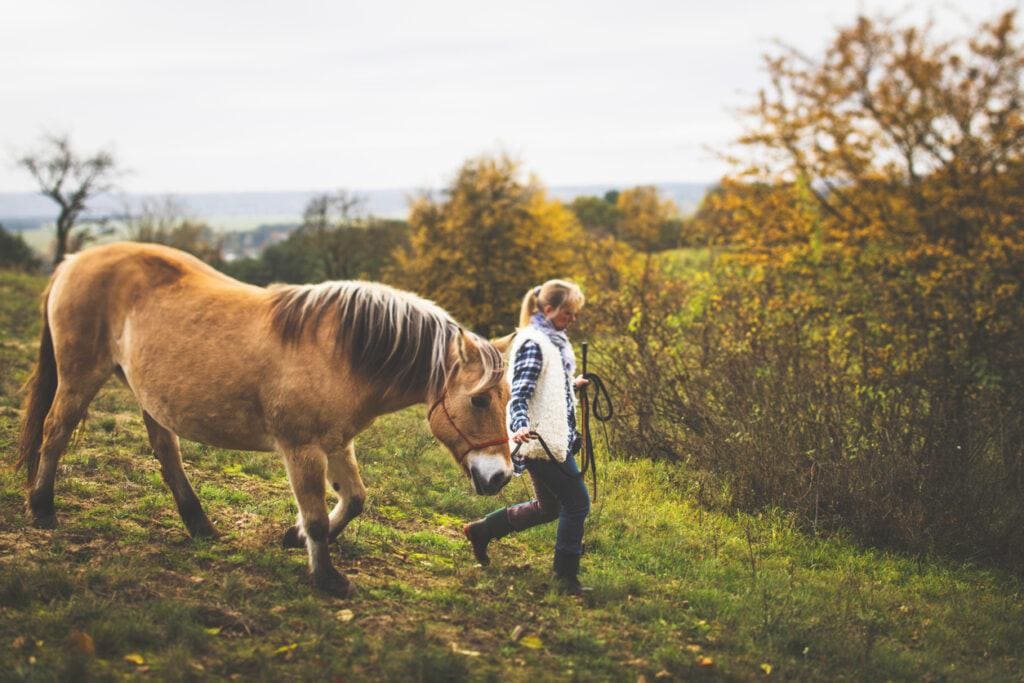 Equine Enrichment Activities - Walking