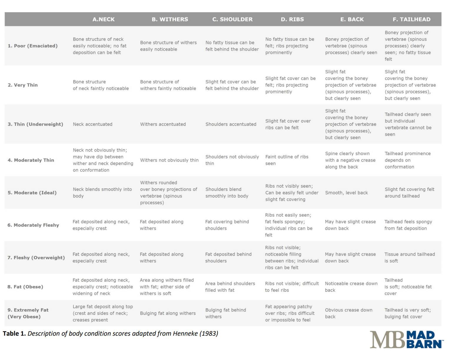 Body Condition Scoring for Horses