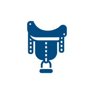 Equine Supplements Blog | Mad Barn USA Saddle Fitter