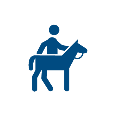 Equine Supplements Blog | Mad Barn USA Equine Coaches & Trainers