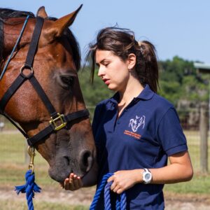 Dr. Ana Mesa PhD - Equine Nutritionist