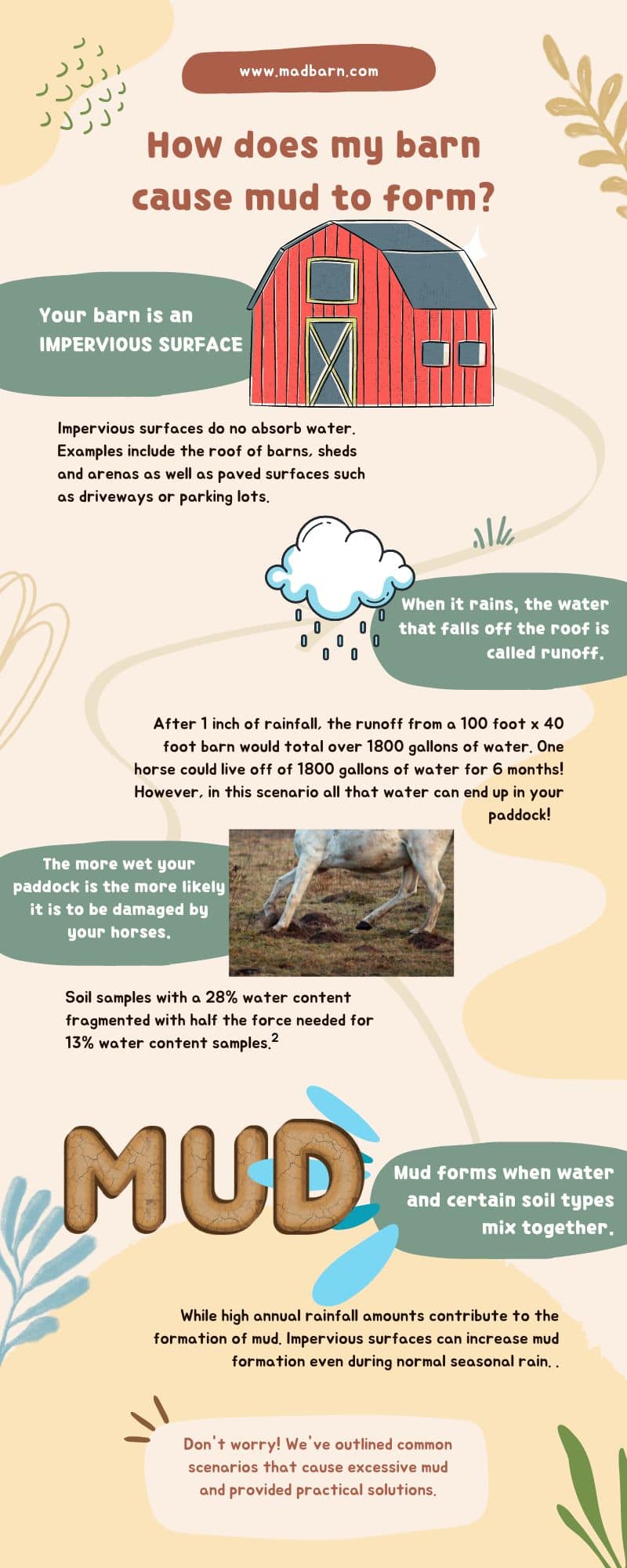 Causes of Mud Formation on Horse Farms