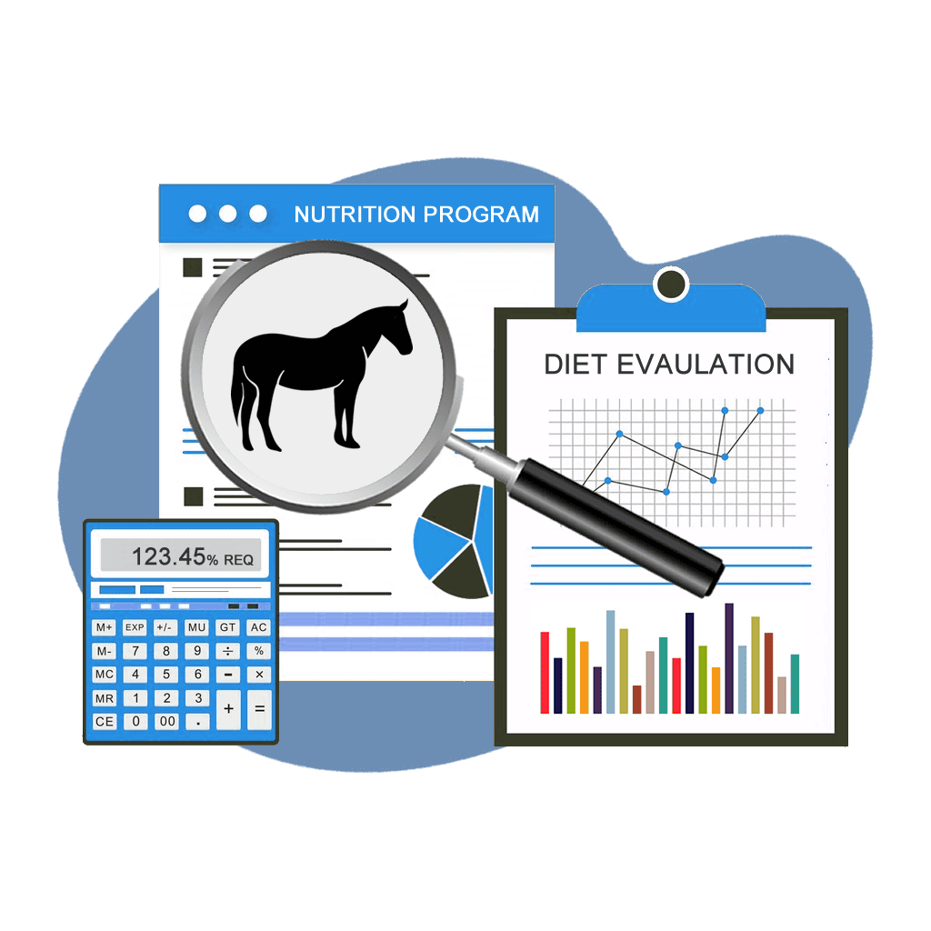 Equine Nutrition Consultants | Mad Barn USA Mad Barn - Equine Nutrition Consultants