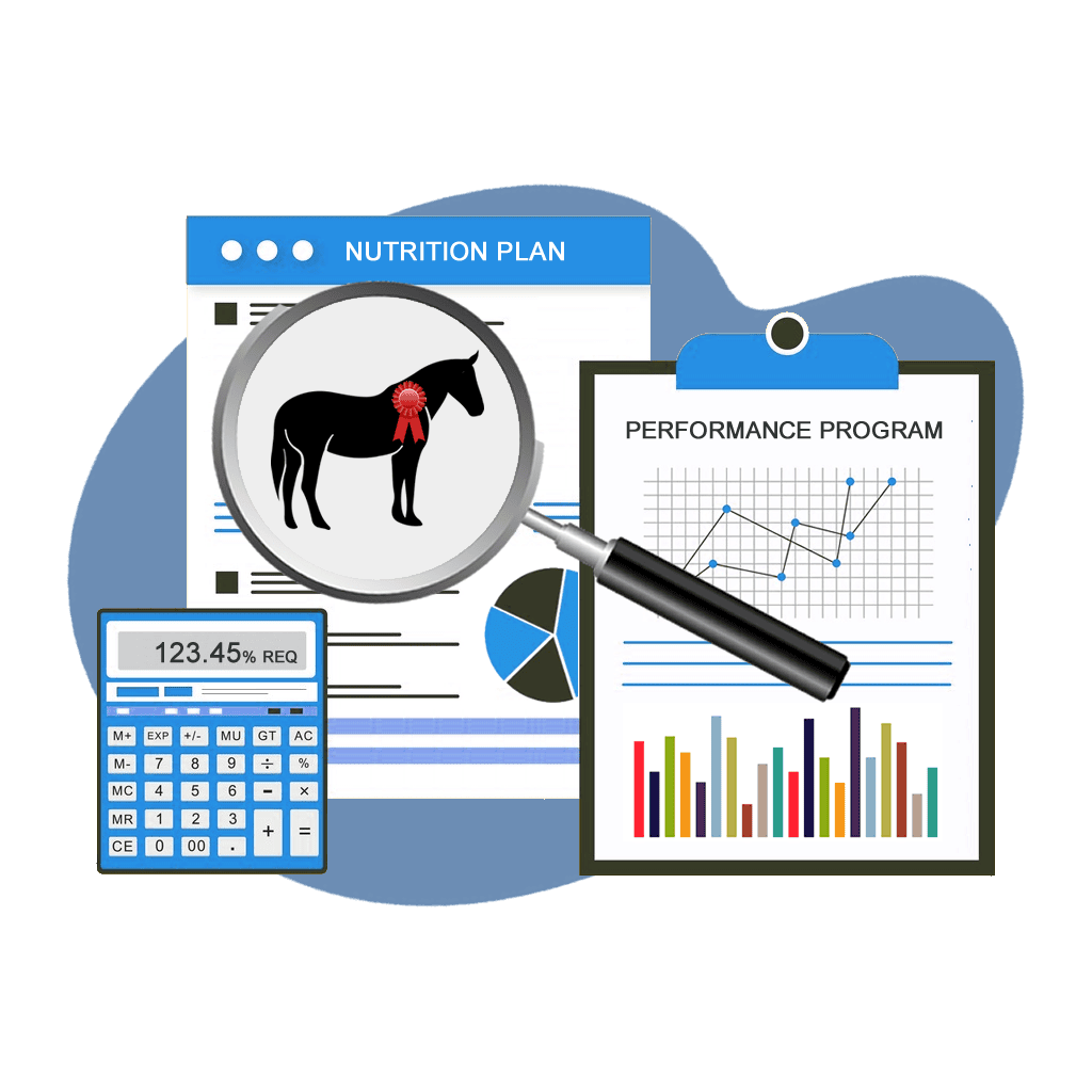 Equine Nutrition Consultants | Mad Barn USA Mad Barn - Equine Nutrition Consultants