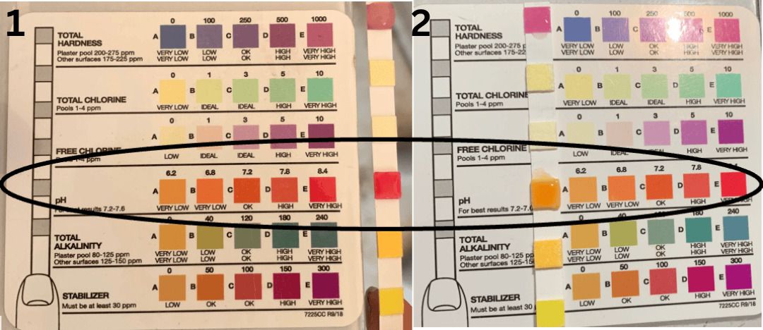 pH Strips for Testing Mares Milk