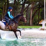 Equine Anidrosis Case Study - Image 2