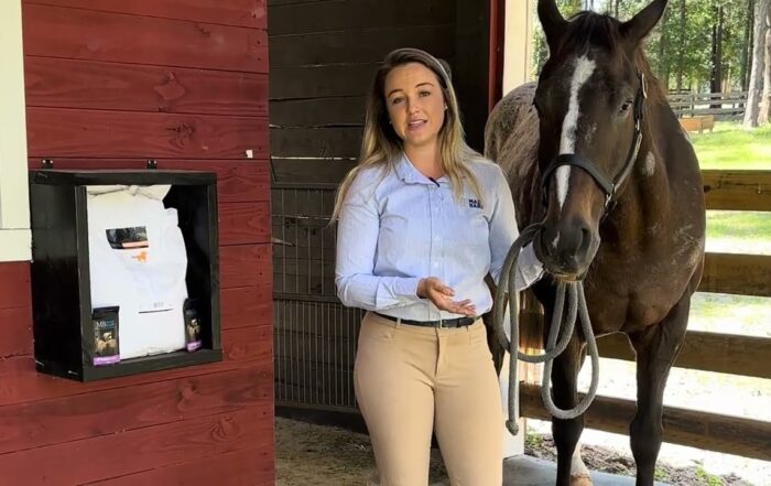 Equine Anhidrosis: A Case Study on Salt Supplementation