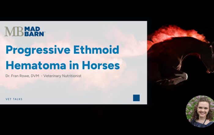 Progressive Ethmoid Hematoma in Horses – Mad Barn – Vet Talk