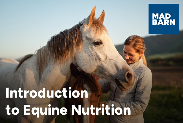 Equine Nutrition Consultants | Mad Barn USA Introduction to Equine Nutrition Course - Mad Barn Academy