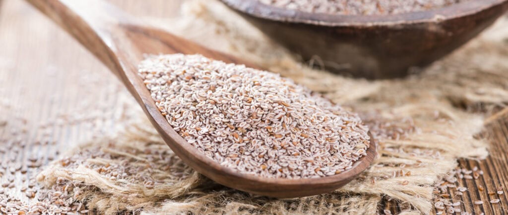 Psyllium Husk for Horses