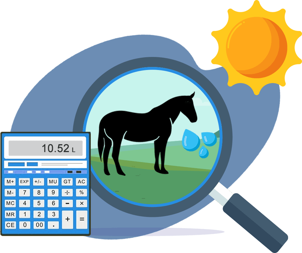 Equine Electrolyte Calculator
