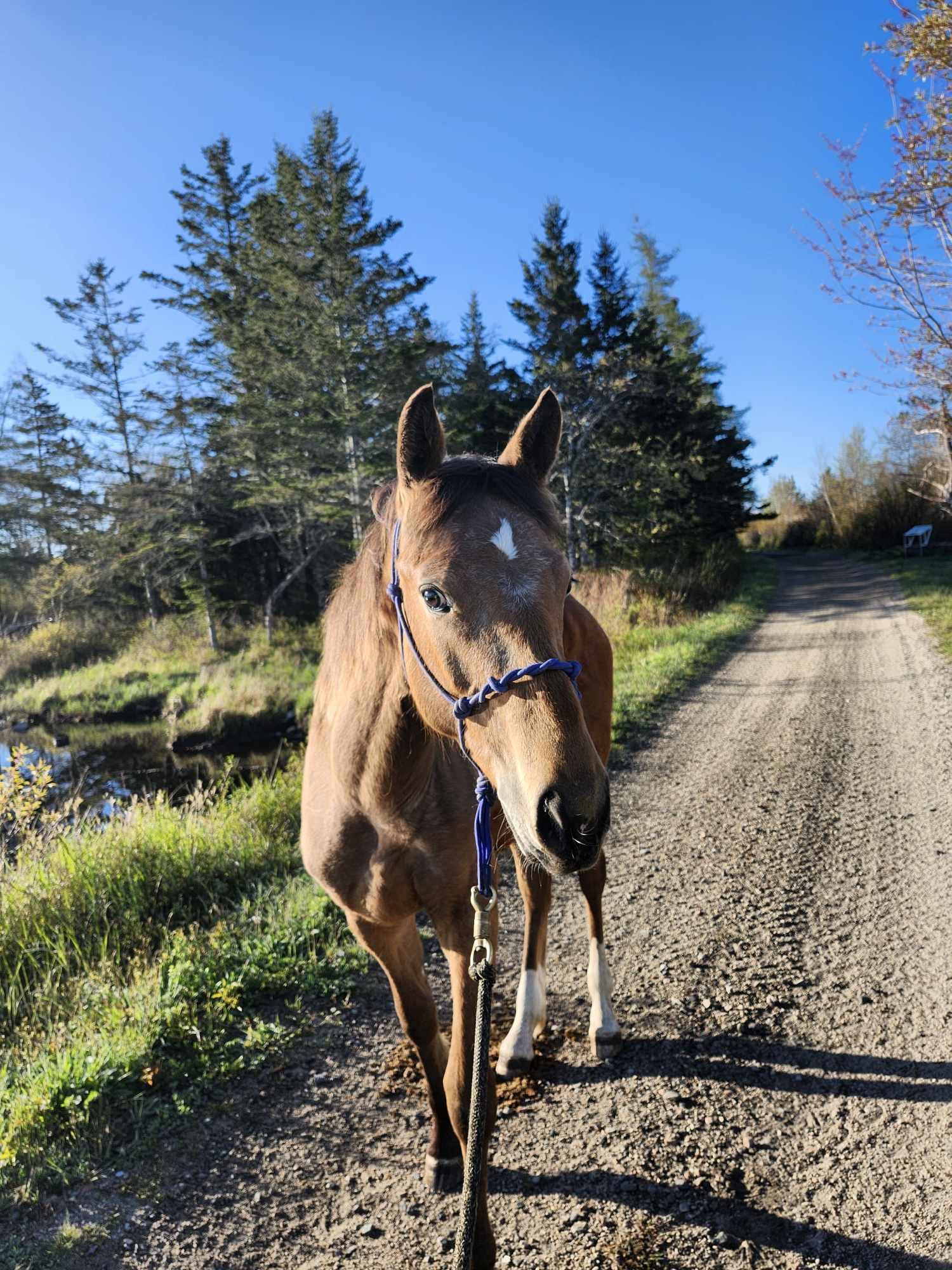 Case Study, Before Picture 2