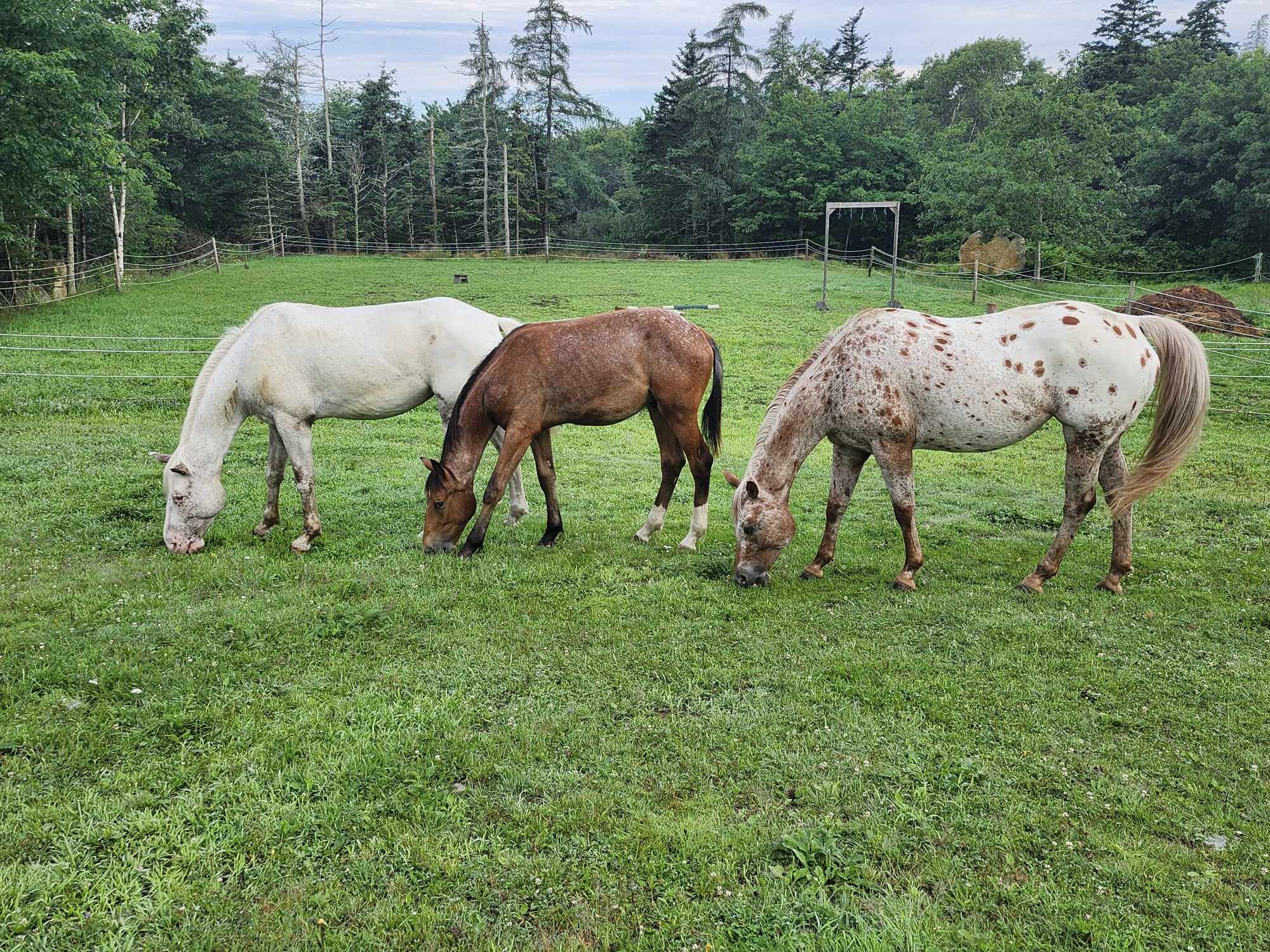 Case Study, Before Picture