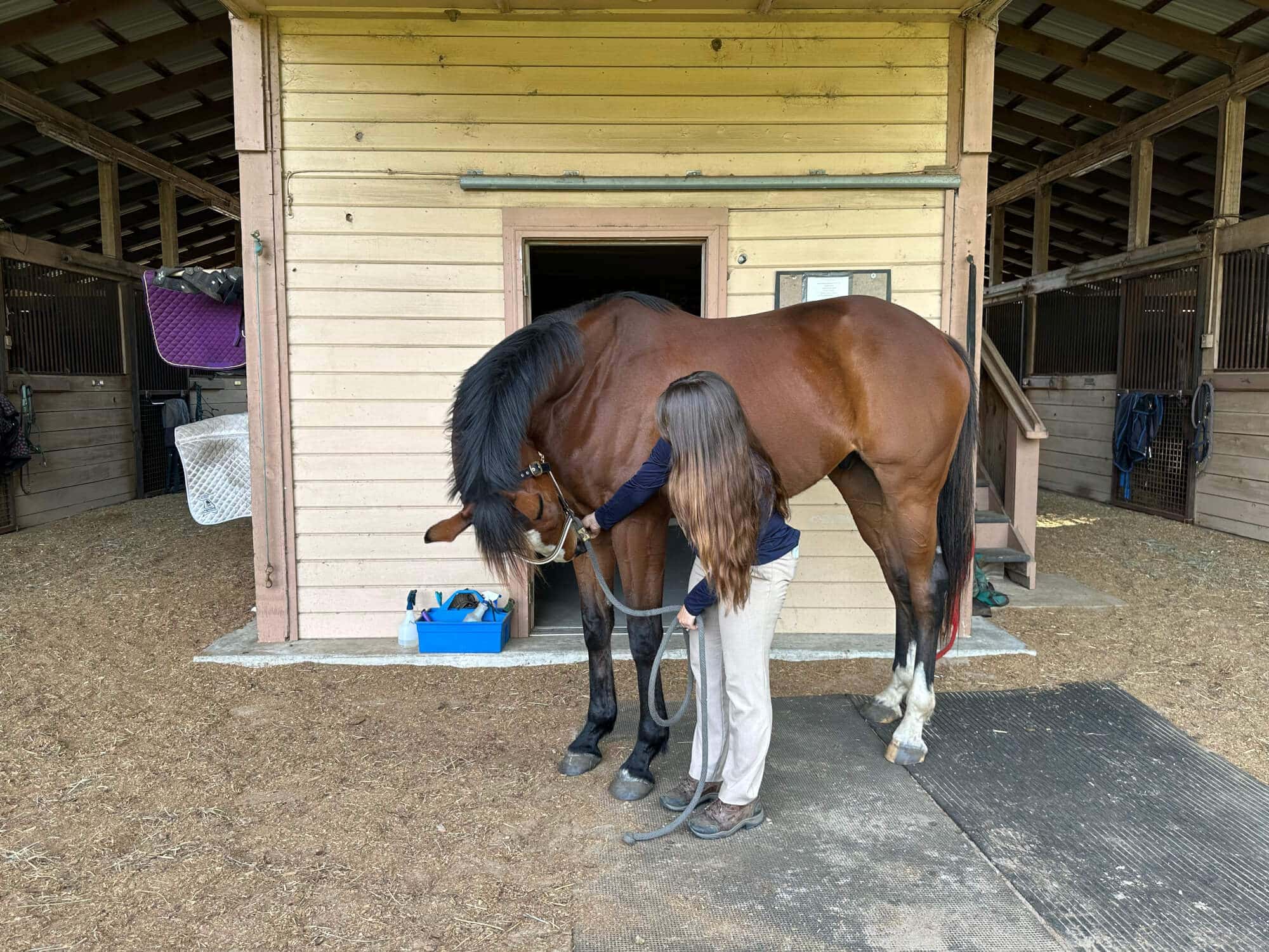 rounding stretch to chest